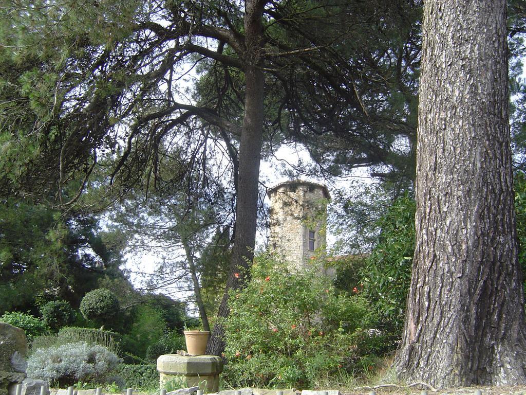 Chateau D'Agel Chambres D'Hotes Zewnętrze zdjęcie