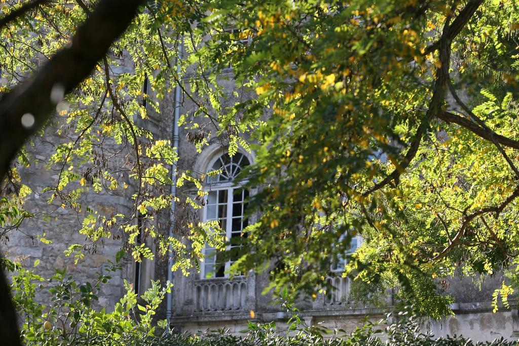 Chateau D'Agel Chambres D'Hotes Zewnętrze zdjęcie